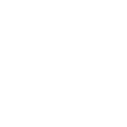 fylm.ai logo