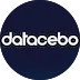 SDV (Synthetic Data Vault) logo