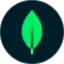 Voyage AI logo