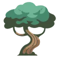 Wisdolia logo